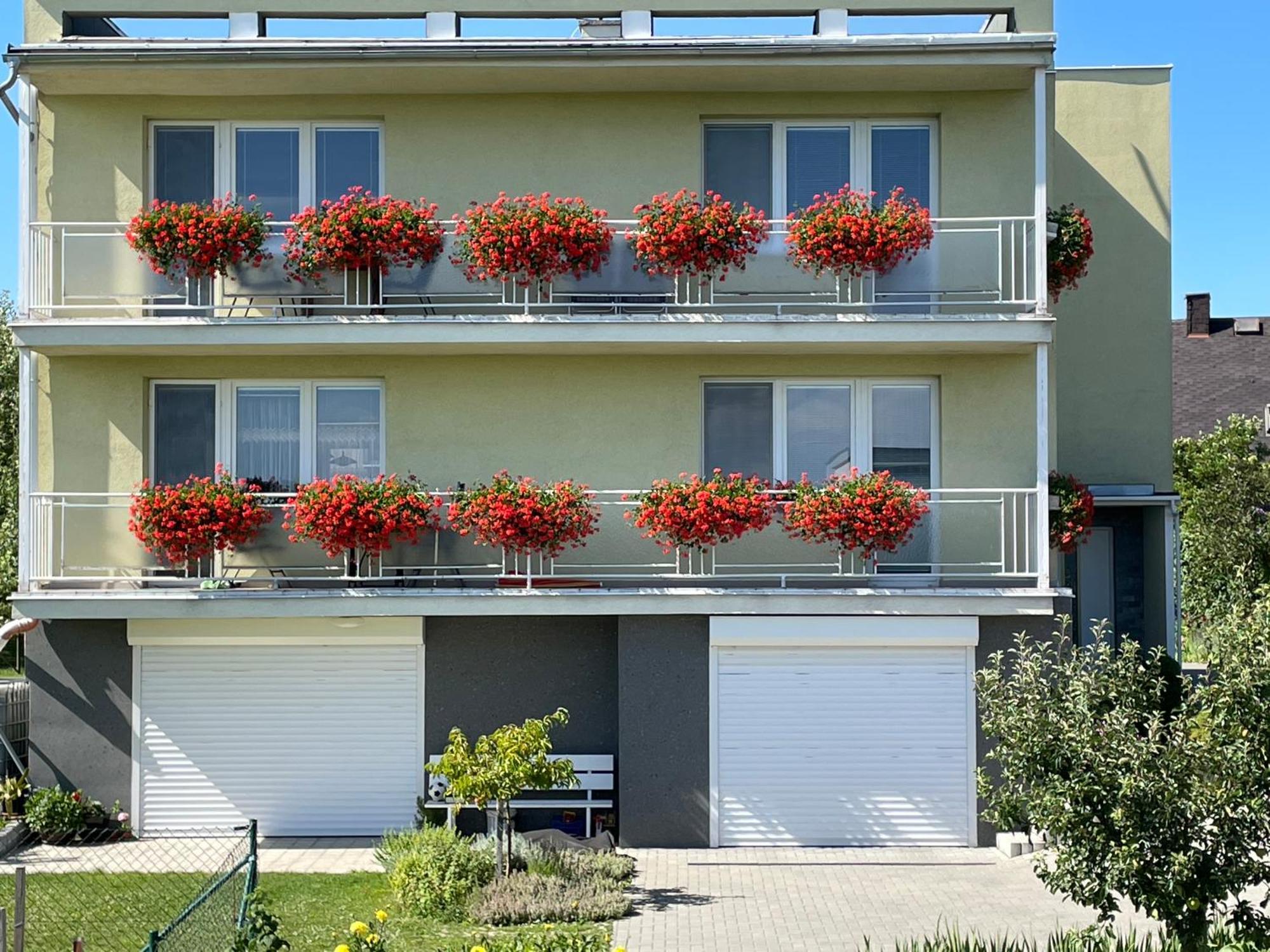 Apartman Krasna Vyhlidka Dolni Benesov Eksteriør billede